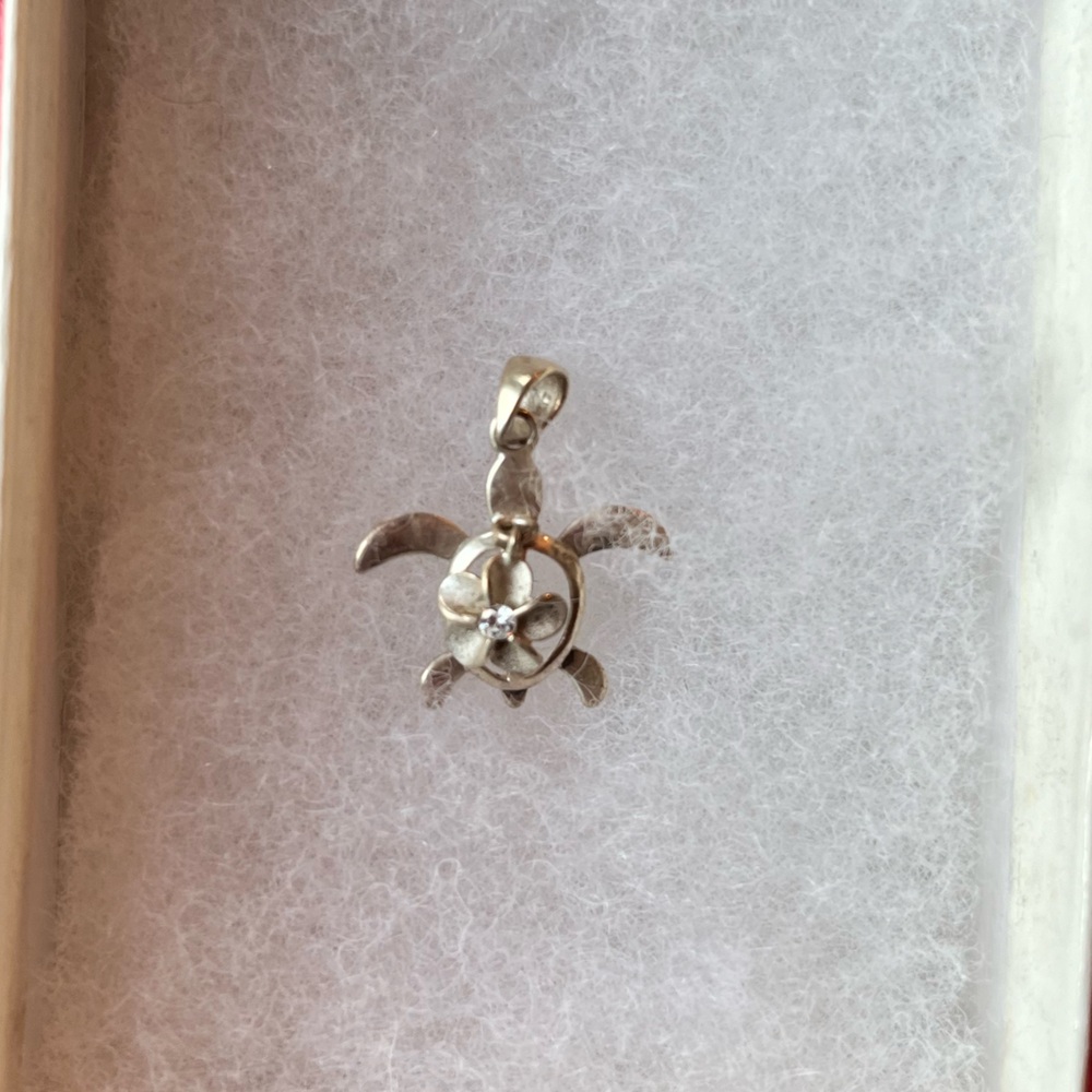 Silver Turtle Pendant